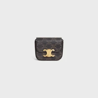 Triomphe Canvas ve Dana Derisinden Mini Claude